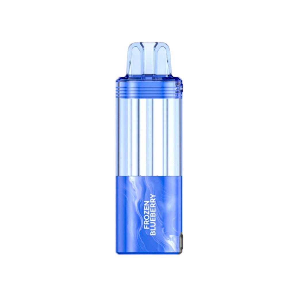 Foger kit Frozen Blueberry